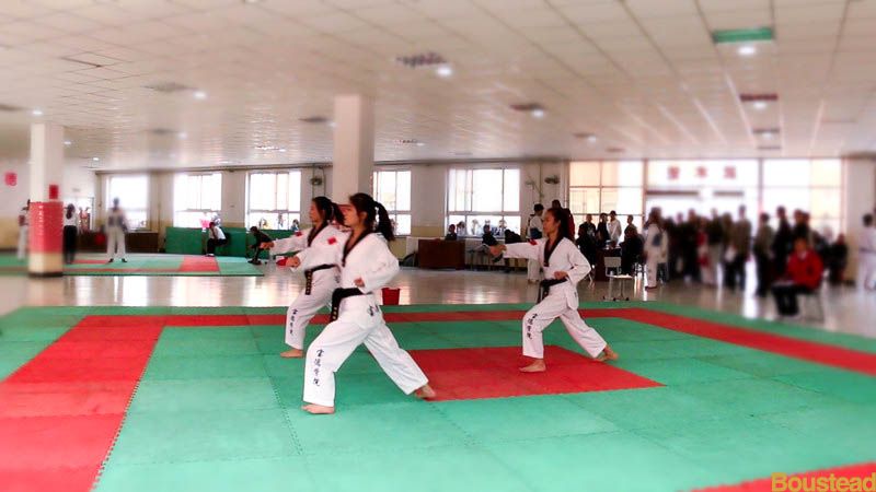 我院学生在2014年天津市大学生跆拳道比赛中获得佳绩